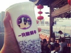 一只酸奶牛為加盟商打造致富平臺(tái)！