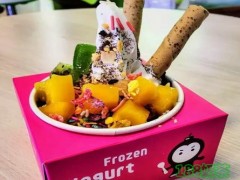 2019年Berry Bomb酸奶冰淇淋加盟它靠譜嗎？