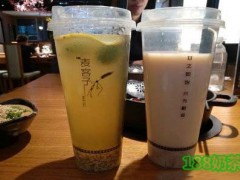 加盟麥客子?甜醅奶茶店賺錢(qián)嗎？未來(lái)幾年奶茶前景還會(huì)這么好嗎？