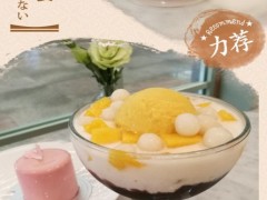 roco若可甜品加盟真的賺錢嗎？加盟roco若可甜品多久回本？【表】