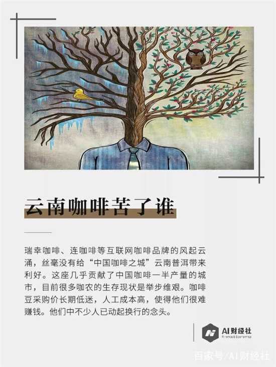 云南咖啡劣幣驅(qū)逐良幣，咖農(nóng)種一年虧損十幾萬