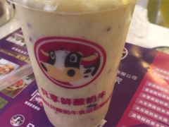 只享鮮酸奶加盟