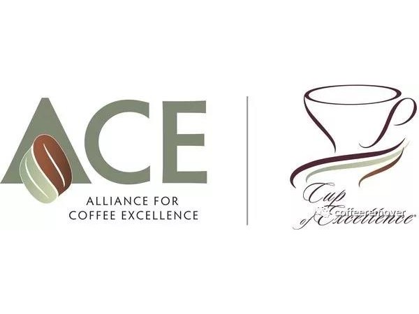 揭開(kāi)COE（Cup of Excellence）的神秘面紗