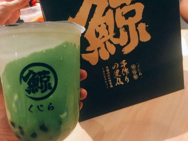 琉璃鯨加盟多少錢(qián)？本文給你詳細(xì)介紹！
