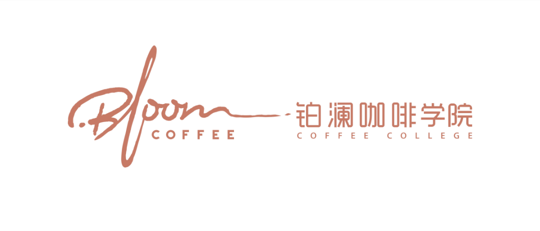 1966038337.png
