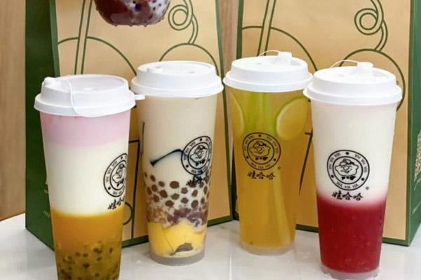 娃哈哈奶茶產(chǎn)品圖4