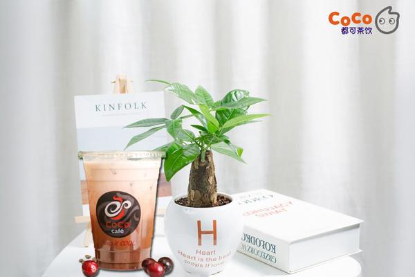 coco奶茶產品圖2