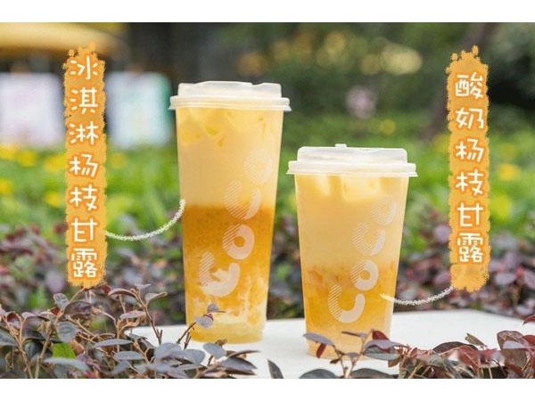 coco奶茶加盟要多少錢？萬元投資項目，致富商機之選