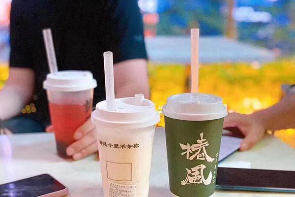 椿風產(chǎn)品圖2
