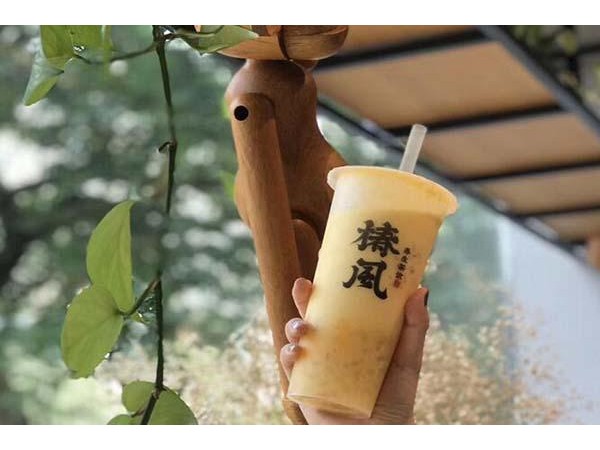 椿風一般利潤有多少，丨優(yōu)勢多多