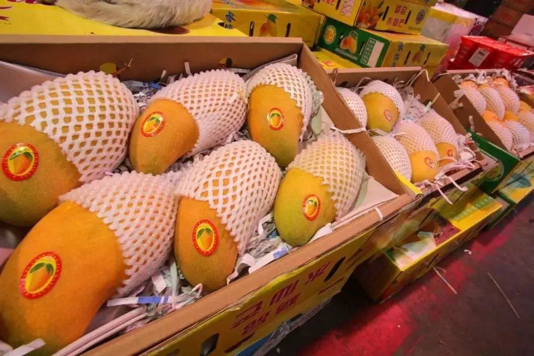 點擊查看源網(wǎng)頁