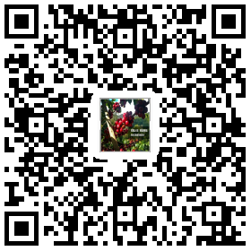 http://7xo6kd.com1.z0.glb.clouddn.com/upload-ueditor-image-20170526-1495793039924039018.png