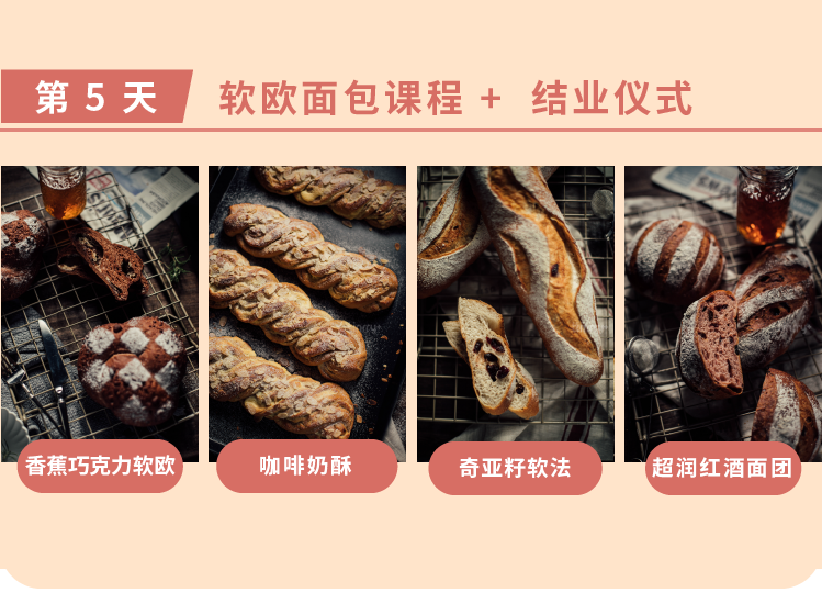 課程內(nèi)容導(dǎo)出版-02.png
