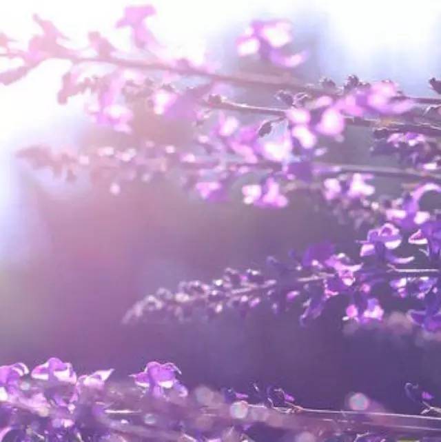 【潮飲】 個平凡元素匯聚，成就精華之作
