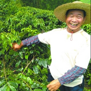 【行業(yè)資訊】廣東自產(chǎn)咖啡？來嘗嘗味道