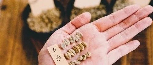 挑選最適合自己的處理法！后處理法對(duì)咖啡風(fēng)味的影響