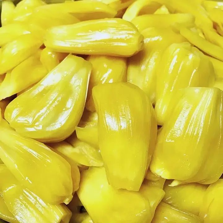 手沖好豆推薦>菠蘿蜜甜香，誰(shuí)不喜歡？
