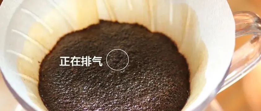 悶蒸階段對于咖啡風(fēng)味有什么影響？
