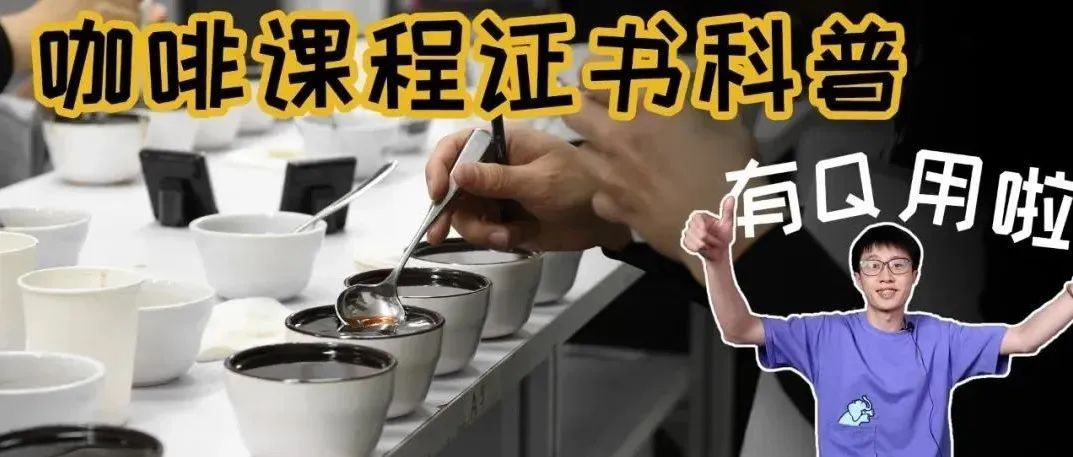 咖啡證書有用嗎？培訓(xùn)課程怎么選？一篇幫你看懂