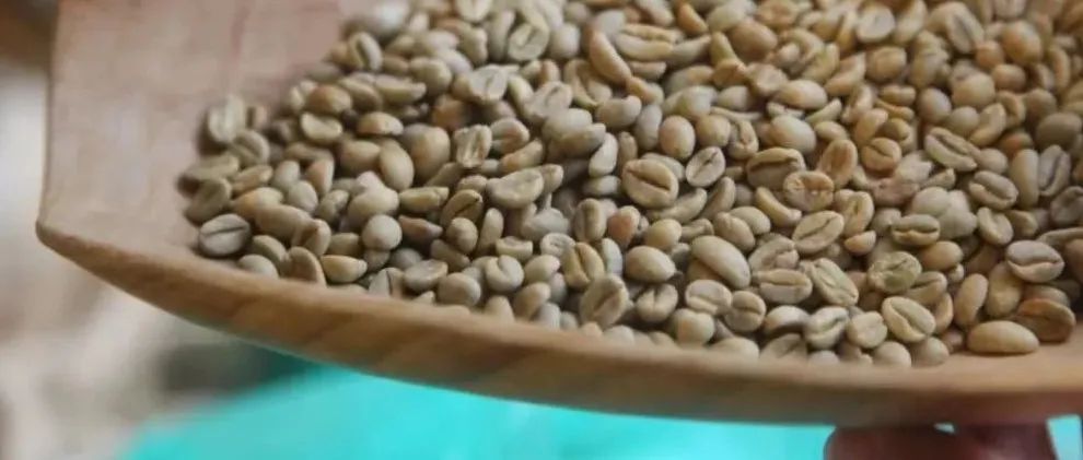 “Heirloom”到底是什么品種？