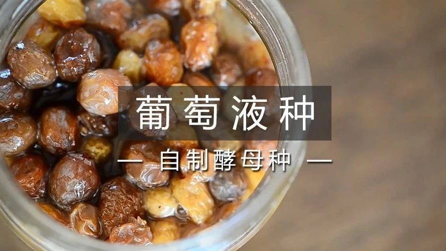 如何自制天然酵母？ 天養(yǎng)成葡萄菌種，外加老面制法【超級干貨】