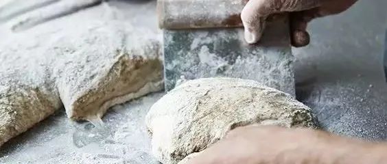 十萬個為什么之“面包”，看完再也不用問為什么！