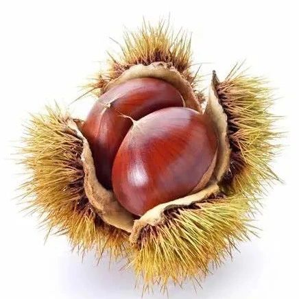 一鍵解惑“栗子醬、栗子泥、栗子......”究竟有何區(qū)別?。ㄒ汛虬た上螺d）