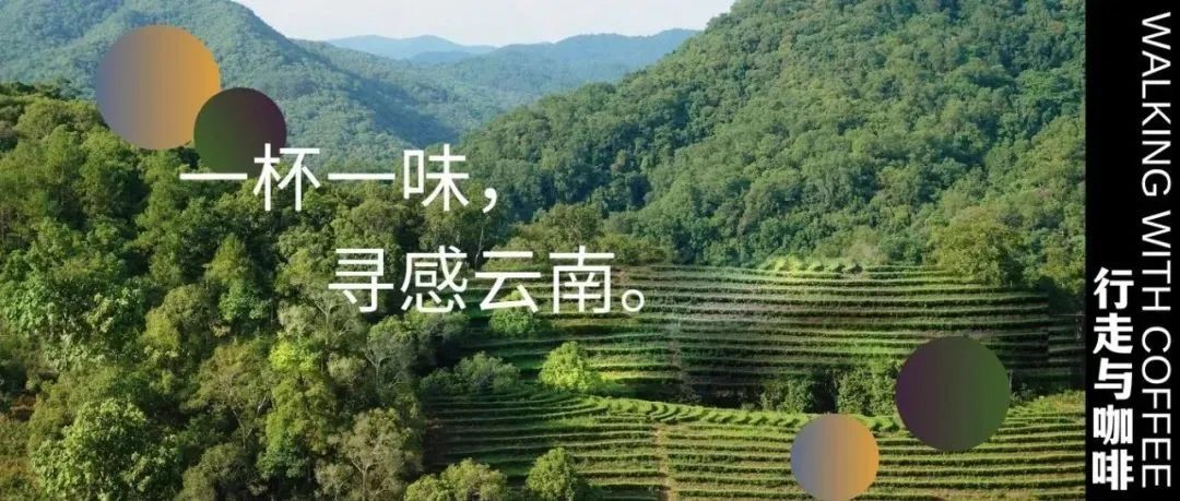 種風(fēng)味， 段故事，一場(chǎng)特別的云南咖啡風(fēng)味之旅邀您啟程（重磅福利）