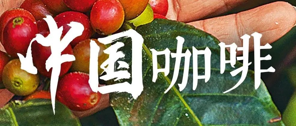 咖啡“入籍”中國，經(jīng)歷了什么？