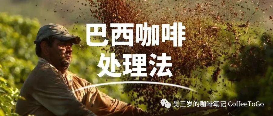 從半日曬、厭氧到添加酵母，巴西咖啡處理法的進(jìn)化之路